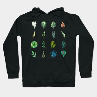 Tropical leaves Hoodie